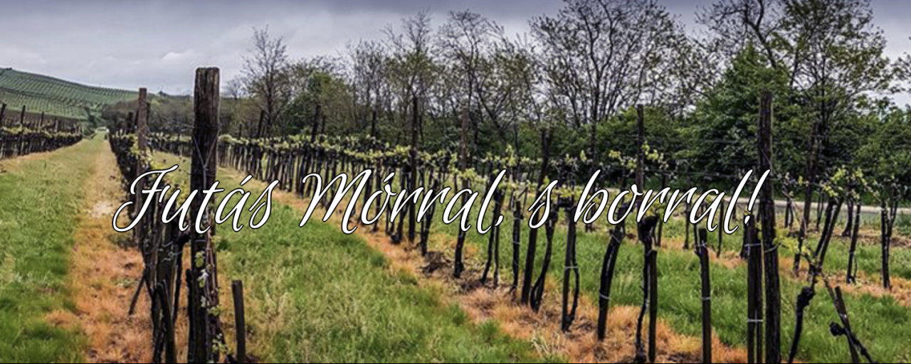 XI. Ezerjó Félmaraton 5 / 10 / 21