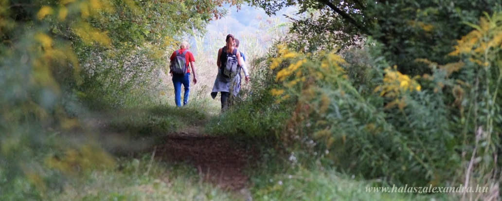 18. Libaterelő teljesítménytúra - 27 / 14 / 9 / 4