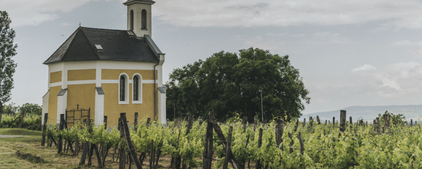 Istvánd a király  - 20 / 10 / 40 / 26