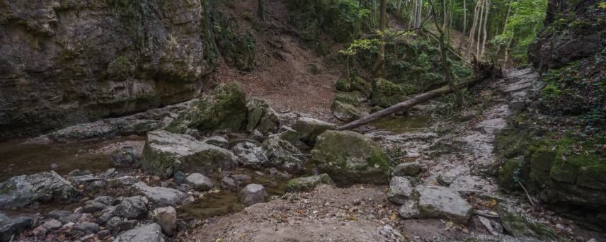Ősz a Cuhán  - 7 / 15 / 20