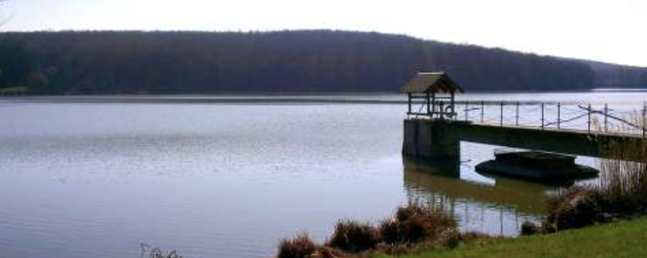 Bika  - Maraton / Fél Maraton / Mini Maraton / Totyogó / Szupermaraton