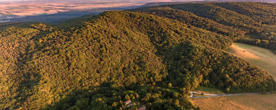 Vérteskozma  - 30 / 20 / 10