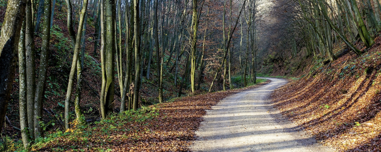 Zörög-hegy  - 20/A / 20/B / 10 / 40