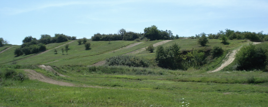 Dolina Teljesítménytúra  - D31 / D23 / D12 / D5