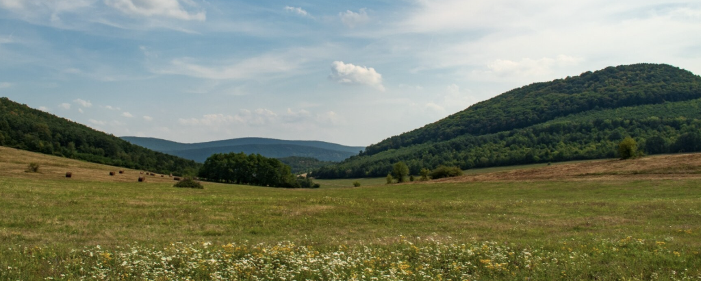 Tavaszi Szomszédoló Túra  - 10 km / 20km / 30 km