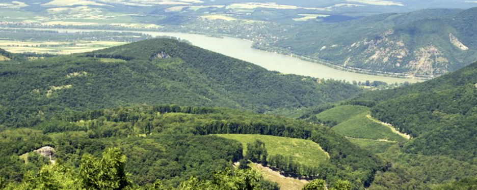 SzinTvonalas Pilisi TT  - 50 km / 35 km / 30 km / 20 km