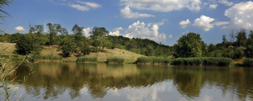 Mezőföld  - 50 / 30 / 10 / Kerékpárral a Mezőföldön 50K / 18