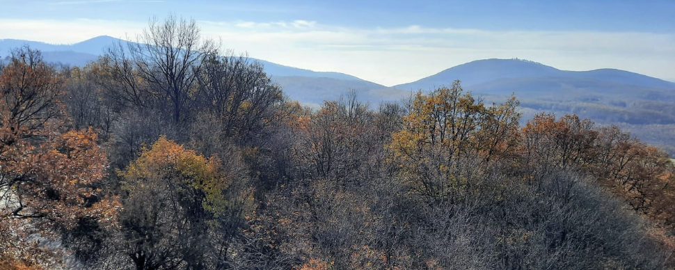 Baranya Dombjai Teljesítménytúra  - 60-as / 30-as / 20-as / 10-es / Kincskereső túra gyermekeknek