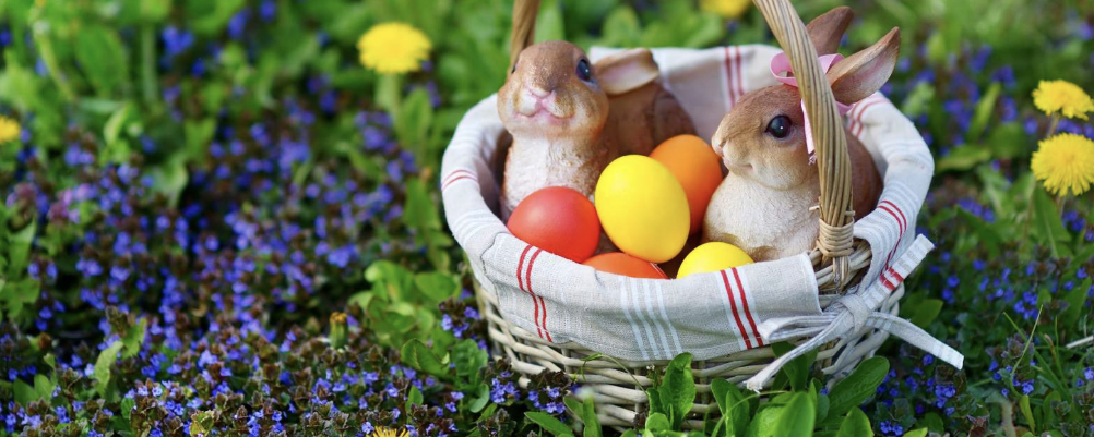 Tréfás Húsvét a Mátrában - 6 / 6 ++ / 10 / 16