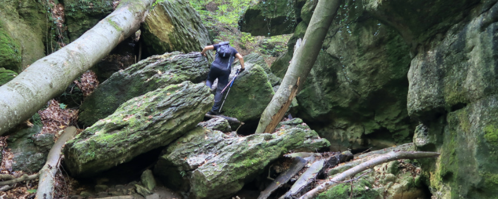 Május a Bakonyban - 21 km / 16 km