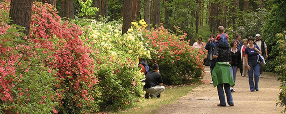 Mindszenty József Bíboros Emléktúra és Zarándoklat  - 19 km