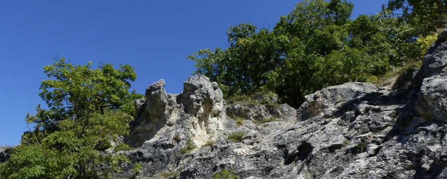 Pénteki Poroszkáló  - 25 / 10 / 25+10 / 100 km