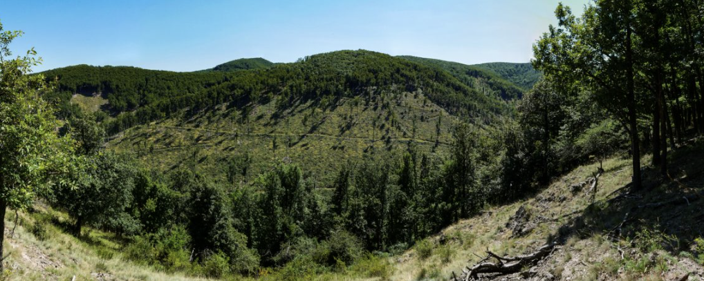 Sisa Pista nyomában  - 25 / 15 / 40