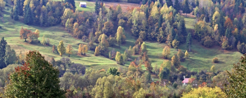 Csíksomlyói Hazajáró Zarándoktúra  - 34 km (vezetett)