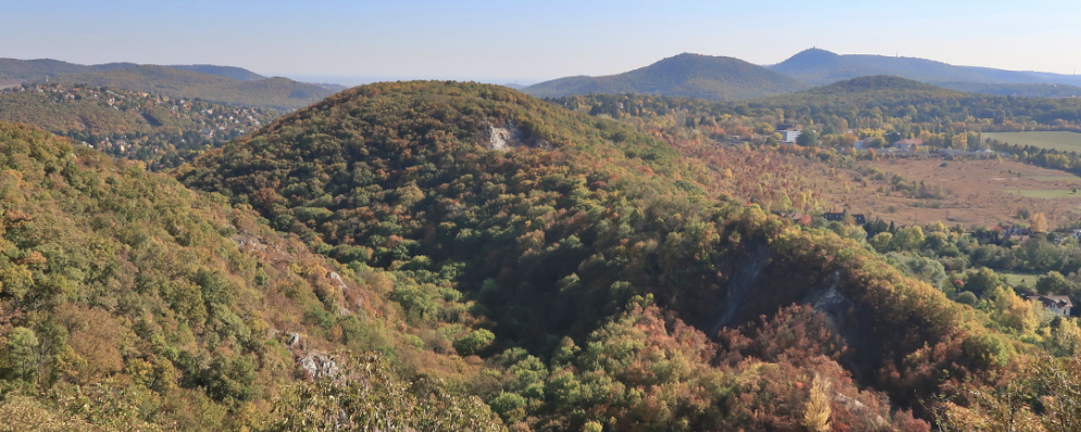 CARDEA (nappali-éjszakai)  - MAGNUS  26 / MINUS 11 / MINIMUS 5