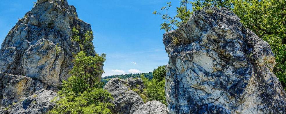 Négy Évszak túrasorozat -nyár  - 5