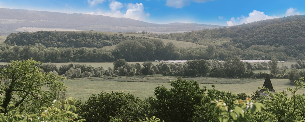 Pumák a Bakonyban – honvédelmi emléktúra – 2026  - 30 km vezetett