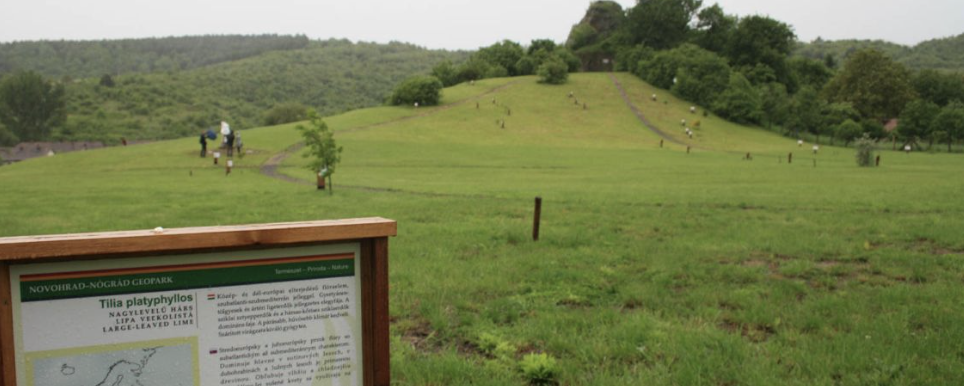 Völgyvárosi hegymenet TT  - Teljes menet / Keleti menet / Nyugati menet