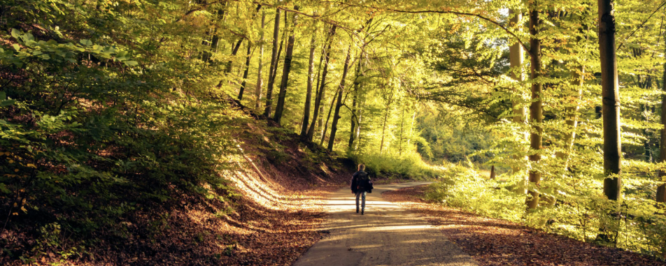 Misinálsz ma?  - 20 km