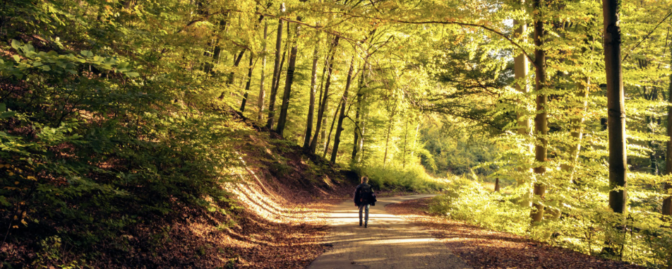Misináltál tegnap?  - 20 km