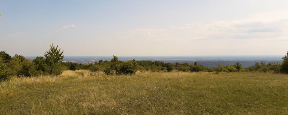 Telki felé  - 34.5 / 11.5 / 7.5