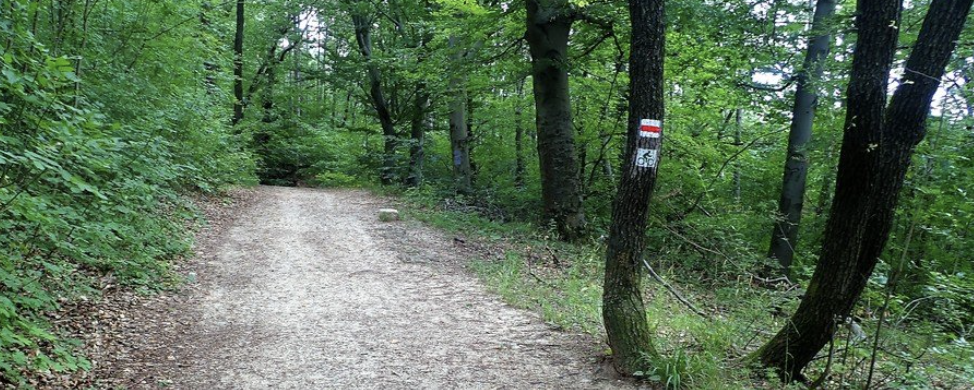 Kistarcsai Tavaszi Teljesítménytúra  - 8 km / 15 / 25