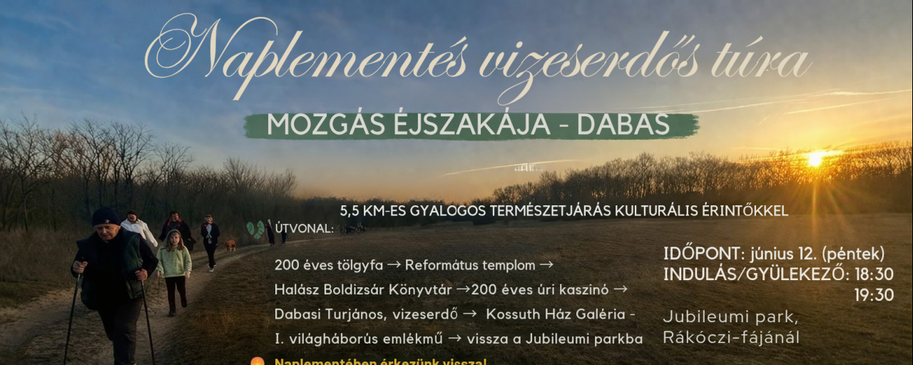 Naplementés Vizeserdő túra Dabason