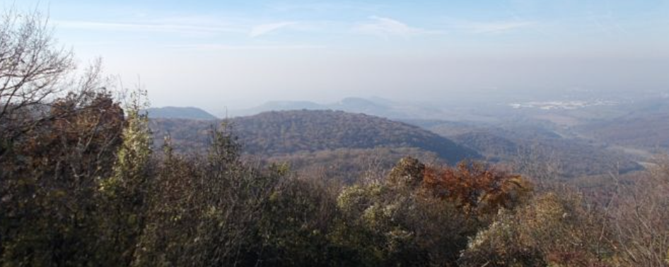 Pilis-nyereg Retro  - 25