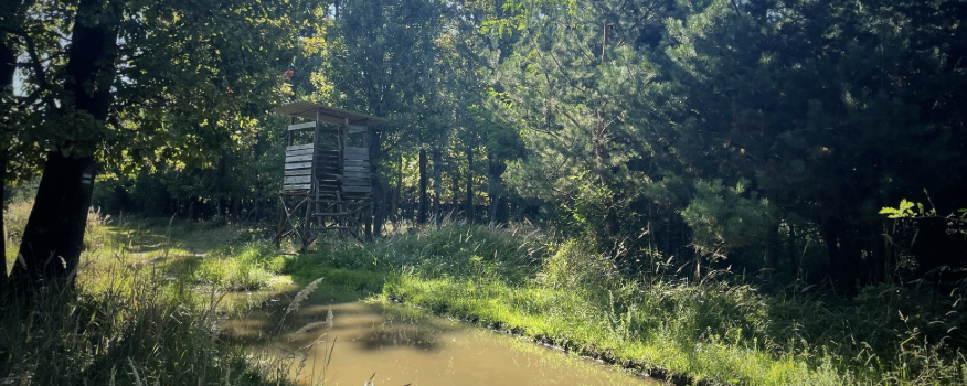 Vándor Márton  - 10 / 20 / 30 / Városi séta 5