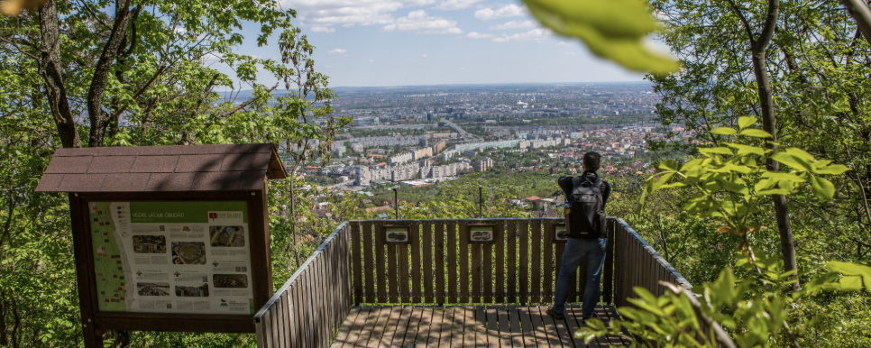 Egy napi járóföld  - 21.8 / 10.3 / 5,5
