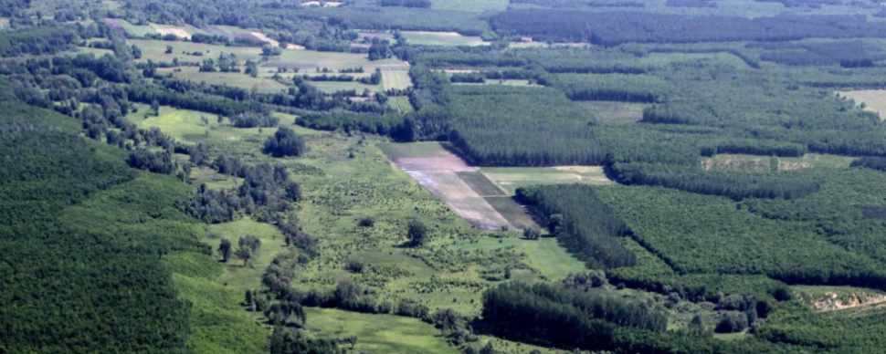 Erdőspusztai Kék  - 30 / 20 / 10 / K-60 / Tájékozódási