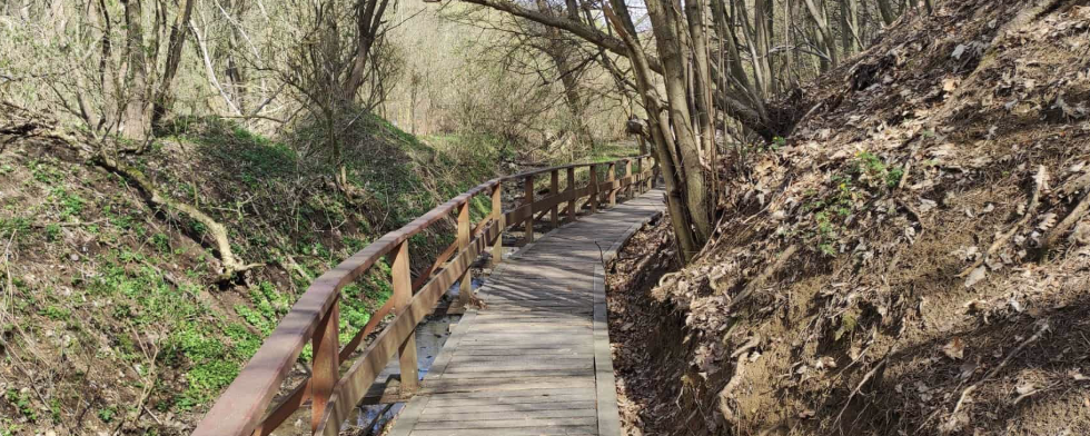 Komárom IVV Túranap  - 20 / 10 / 6