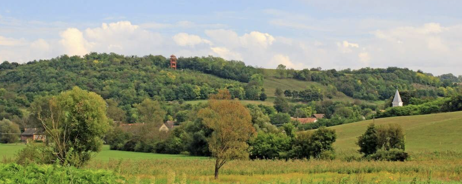 I. Potápi Árpád emléktúra – 2026  - 30 km / 16 km (vezetett)