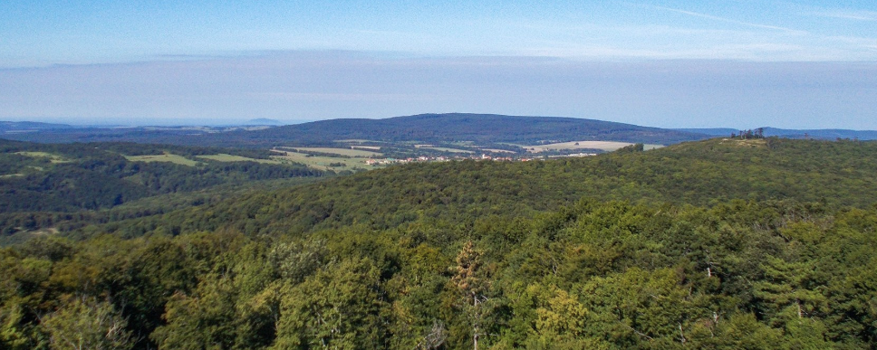 Tavaszi Kab-hegy - Kankalin túra  - Tavaszi Kab-hegy, Kankalin-túra