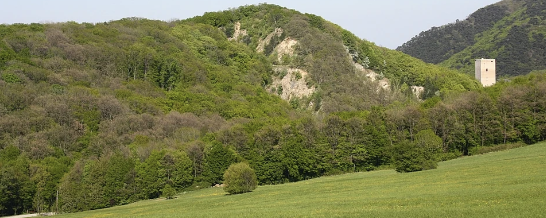Wienerwald II. - 20