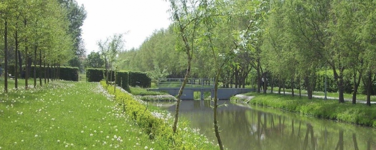 II. DebreTEN