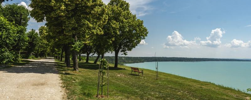 Magaspart (esti)  - 10 / 20